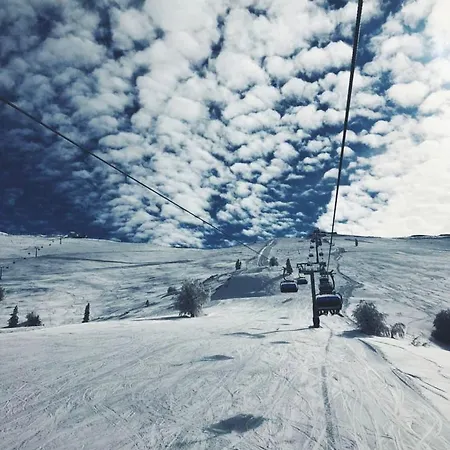 Snow Bloom Uludag Chalet