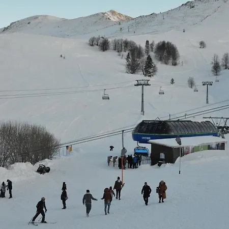 Snow Bloom Uludag Uludag (Bursa)