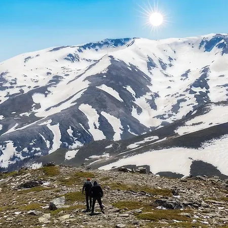 Snow Bloom Uludag *