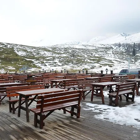 Snow Bloom Uludag Chalet *